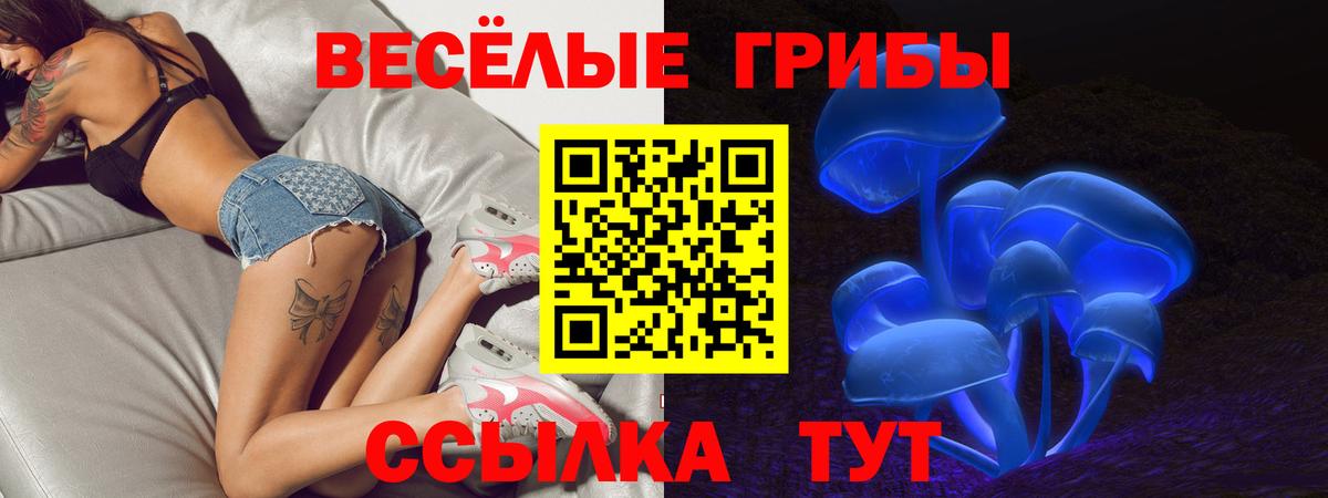 Галлюциногенные грибы GOLDEN TEACHER  Галлюциногенные грибы мицелий  Ипатово 