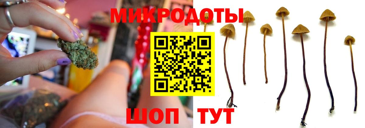 Псилоцибиновые грибы GOLDEN TEACHER Ипатово